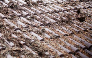 Woodlands Park roof cleaning companies